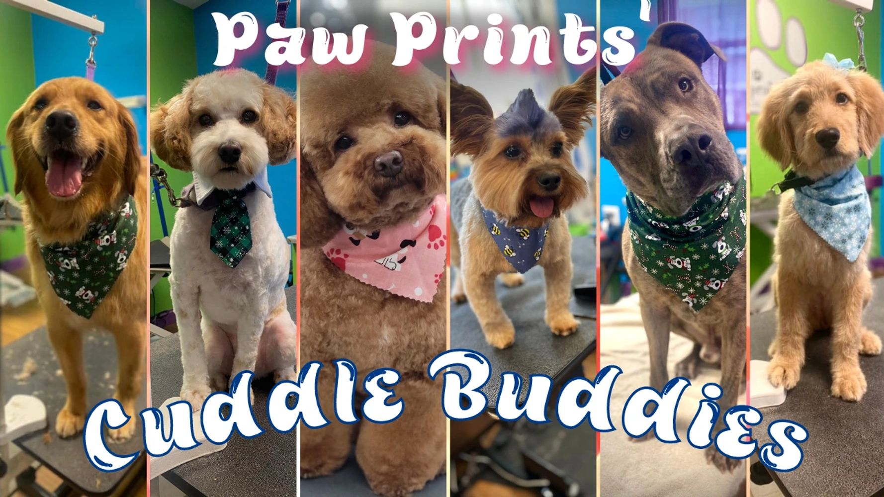 Paw prints pet clearance supply
